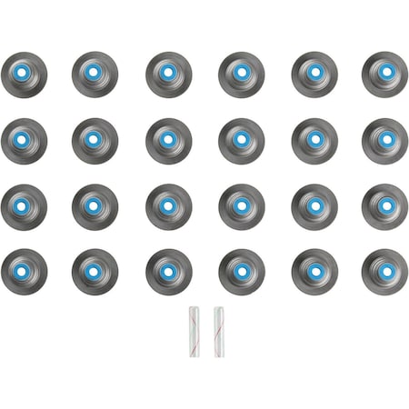 Reinz Engine Valve Stem Oil Seal Set, 12-10111-01 12-10111-01